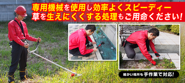 庭手入れサービス